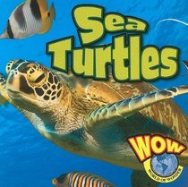 Sea Turtles (Wow World of Wonder)