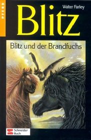 Blitz und der Brandfuchs (The Black Stallion and Flame) (Black Stallion, Bk 15) (German Edition)