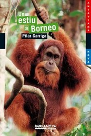 Un Estiu a Borneo / A Summer in Borneo (Antaviana Blava) (Spanish Edition)