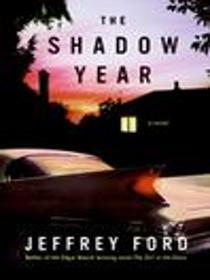 The Shadow Year