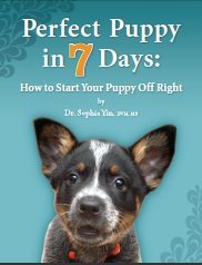 Perfect Puppy in 7 Days: How to Start Your Puppy Off Right