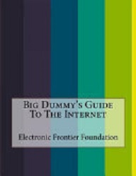 Big Dummy's Guide to the Internet