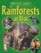 Rainforests at Risk (Precious Earth)