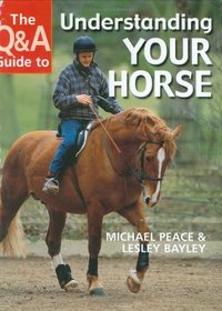 The Qa Guide to Understanding Your Horse