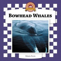 Bowhead Whales (Whales Set II)