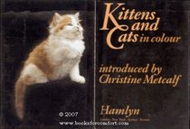 Kittens and Cats in Colour