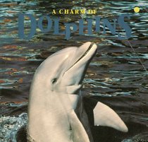 Charm of Dolphins (Marine Life Series)