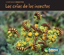 Las crías de los insectos (Bug Babies) (Bellota) (Spanish Edition)