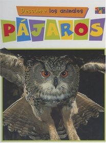 Pajaros (First Look at Animals.)