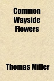 Common Wayside Flowers