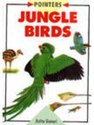 Jungle Birds (Pointers)