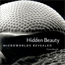 Hidden Beauty : Microworlds Revealed