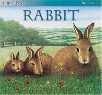 The Rabbit (Animal Lives)