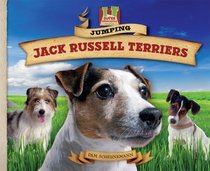 Jumping Jack Russell Terriers (Dog Daze)