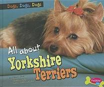 All About Yorkshire Terriers