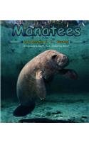 Manatees (Pebble Books)