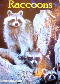 Raccoons (Books for Young Explorers)