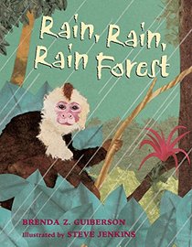Rain Rain Rainforest