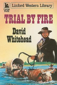 Trial by Fire (Linford Western)