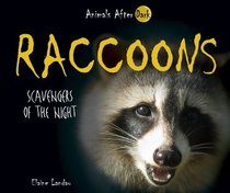 Raccoons: Scavengers of the Night (Animals After Dark)