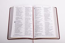 CSB Giant Print Reference Bible, Brown LeatherTouch
