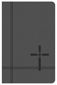 KJV Deluxe Gift & Award Bible [Gray]