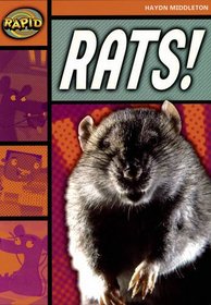 Rats (Rapid)