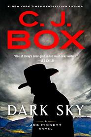 Dark Sky (Joe Pickett, Bk 21)