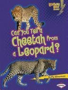 Can You Tell a Cheetah from a Leopard? (Lightning Bolt Books: Animal Look-Alikes)