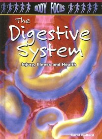 Digestive System (Body Focus)