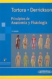 Principios de anatomia y fisiologia/ Principles of Anatomy and Physiology (Spanish Edition)