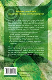 Reiki para principiantes (Reiki for Beginners) (Spanish Edition)