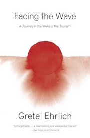 Facing the Wave: A Journey in the Wake of the Tsunami (Vintage)