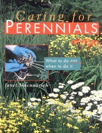 Caring for Perennials : What to Do and When to Do it