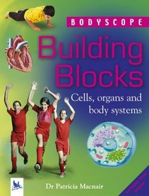 Building Blocks (Bodyscope)