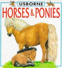 Horses and  Ponies (Board Book)