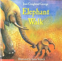 Elephant walk