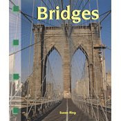 Bridges (Newbridge discovery links)