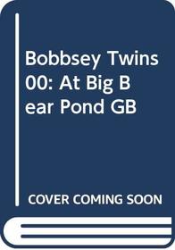 At Big Bear Pond (The Bobbsey Twins, No. 47)
