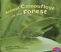Animal Camouflage in the Forest (Hidden in Nature)