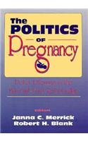 The Politics of Pregnancy: Policy Dilemmas in the Maternal-Fetal Relationship