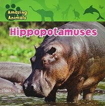 Hippopotamus