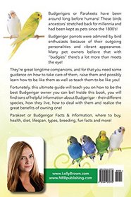 Budgerigars or Parakeet as Pets: Parakeet or Budgerigar Facts & Information, where to buy, health, diet, lifespan, types, breeding, fun facts and more! A Complete Pet Guide