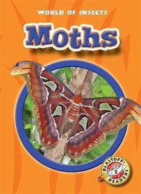 Moths (Blastoff! Readers: World of Insects)