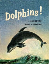 Dolphins!