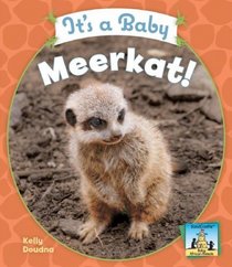 It's a Baby Meerkat! (Baby African Animals)