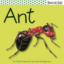 Ant (Bouncing Bugs)