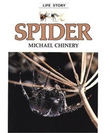 Spider