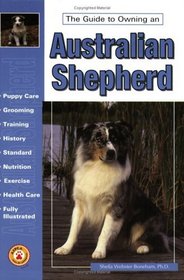 The Guide to Owning an Australian Shepherd