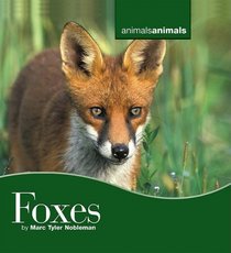 Foxes (Animals Animals)